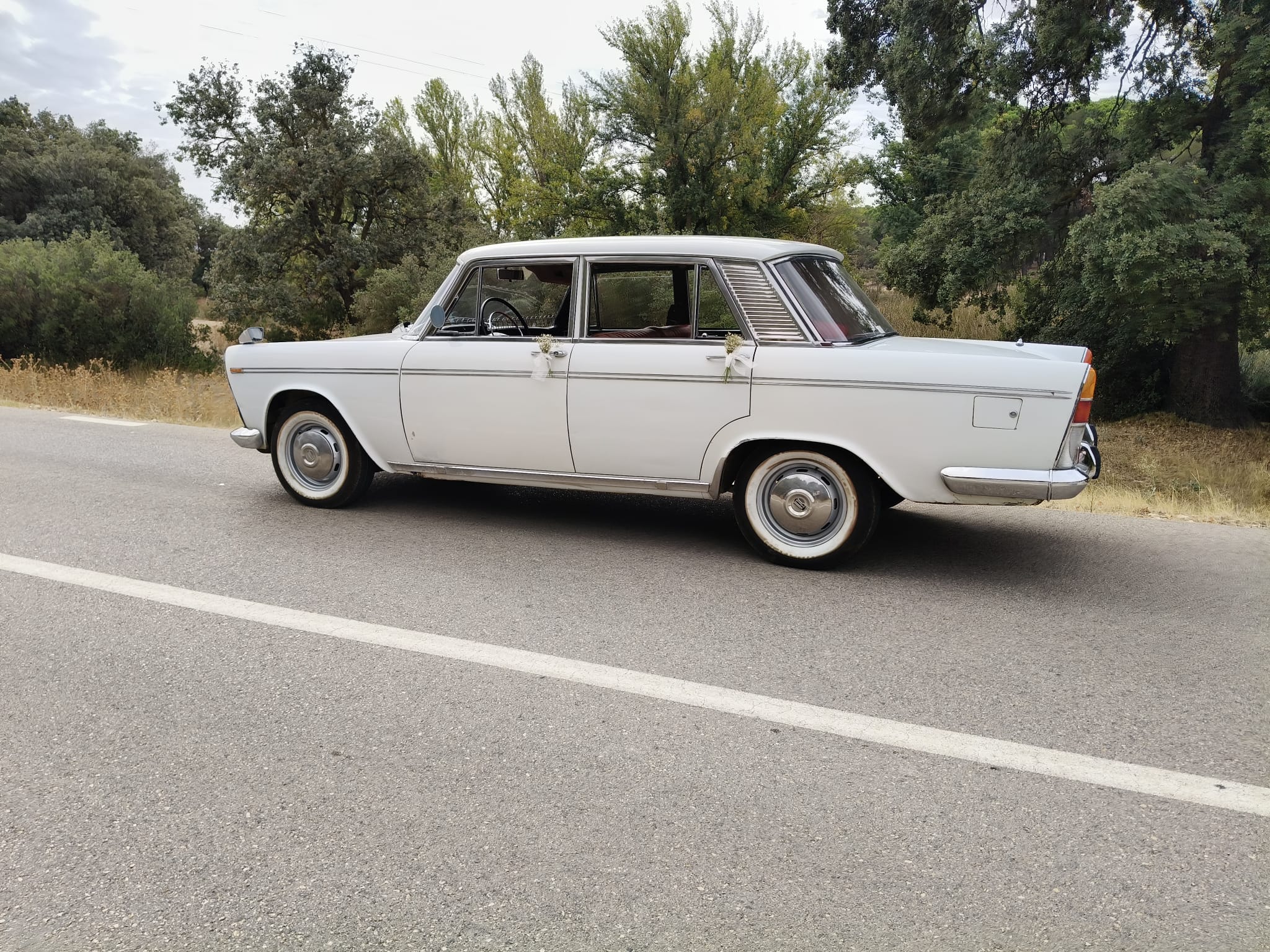 Detalle trasero coche